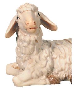Sheep lying (Rafael Nativity)