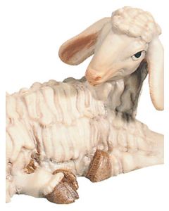 Sheep lying (Rafael Nativity)