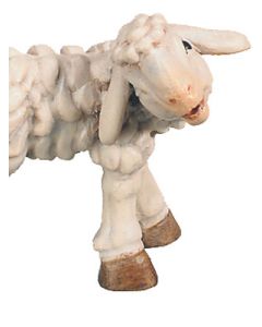 Lamb (Rafael Nativity)