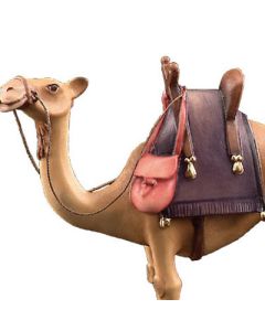 Camello (Nacimiento madera)