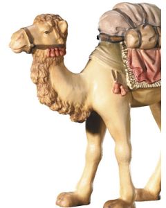 Camello (Belen Leonard)