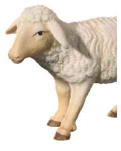 Sheep (Leonard Nativity)