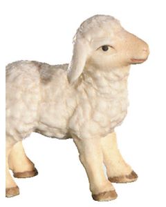 Lamb (Leonard Nativity)