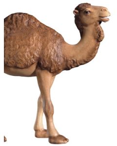 Camel (Leonard Nativity)