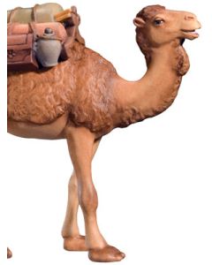 Camel with luggage (Leonard Nativity)