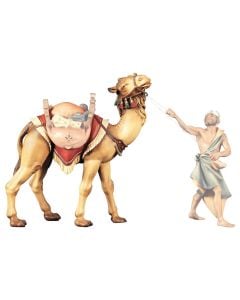 Camello de pie sin silla (Belen Casales)