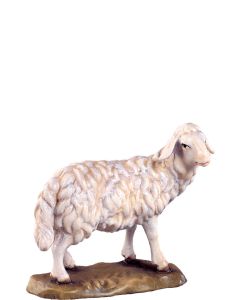 Sheep standing (Alpes Nativity)