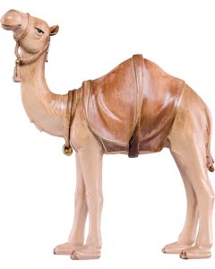 Camello (Belen Artisan)